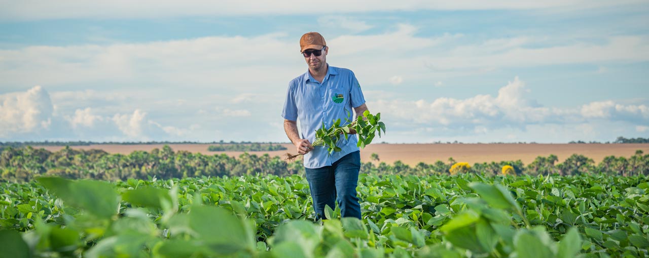 Fortalecendo o compromisso com uma agricultura mais sustentável no Brasil
