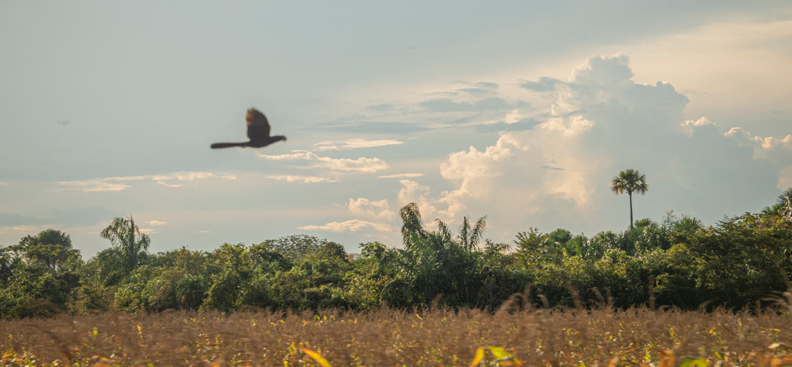 Sustainable agriculture Sustainable agriculture