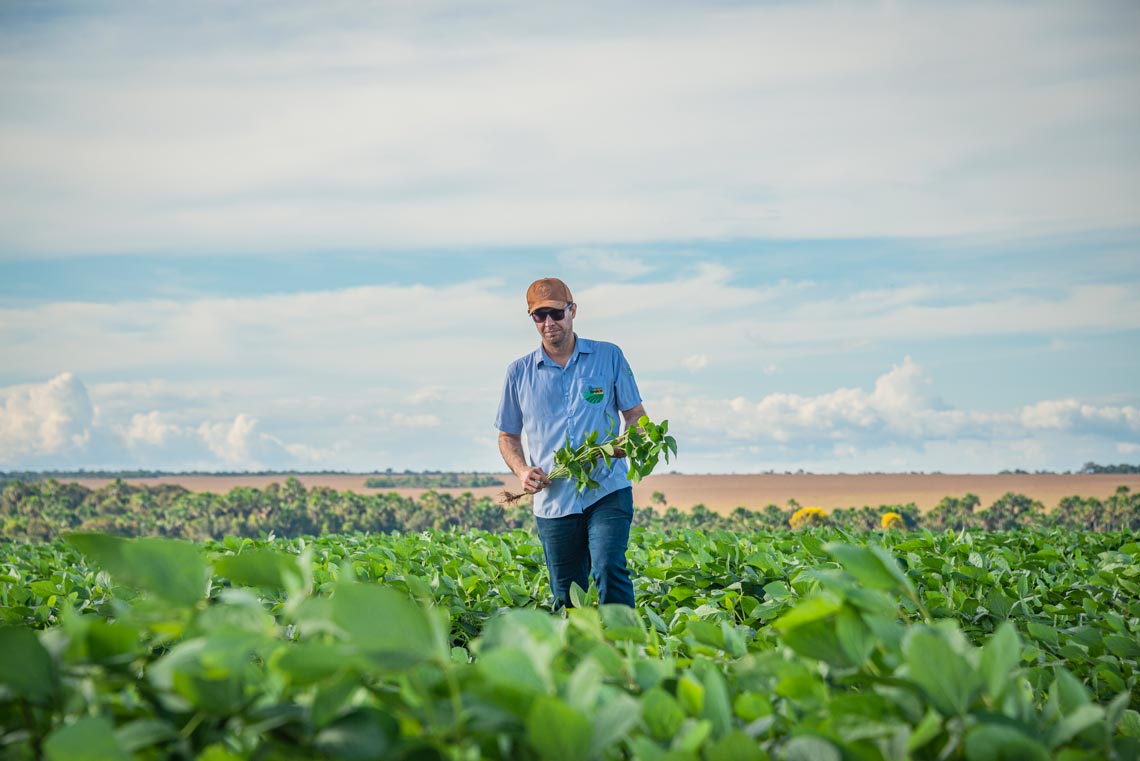 Sustainable agriculture Sustainable agriculture