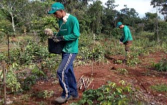Cargill – Projetos ambientais Matéria sobre sete projetos-piloto