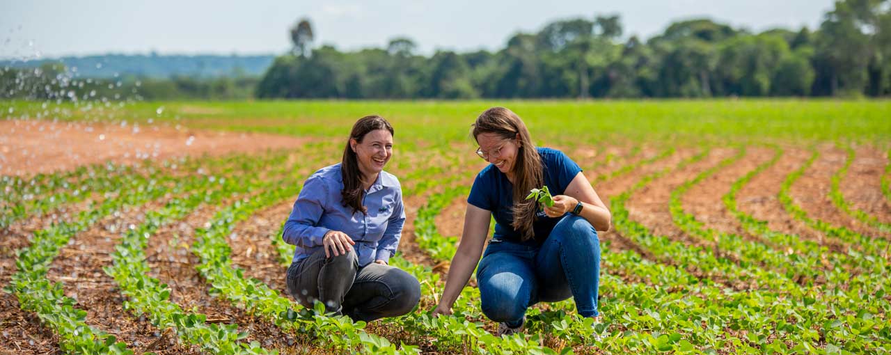 Você tem experiência na área comercial e no segmento de agronegócios?