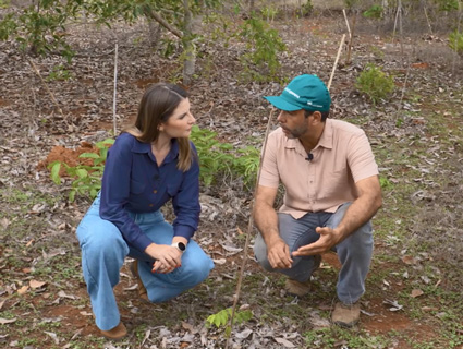 No caminho da preservação: restaurar áreas estratégicas do Cerrado para contribuir com a conservação do solo e preservação das nascentes. 