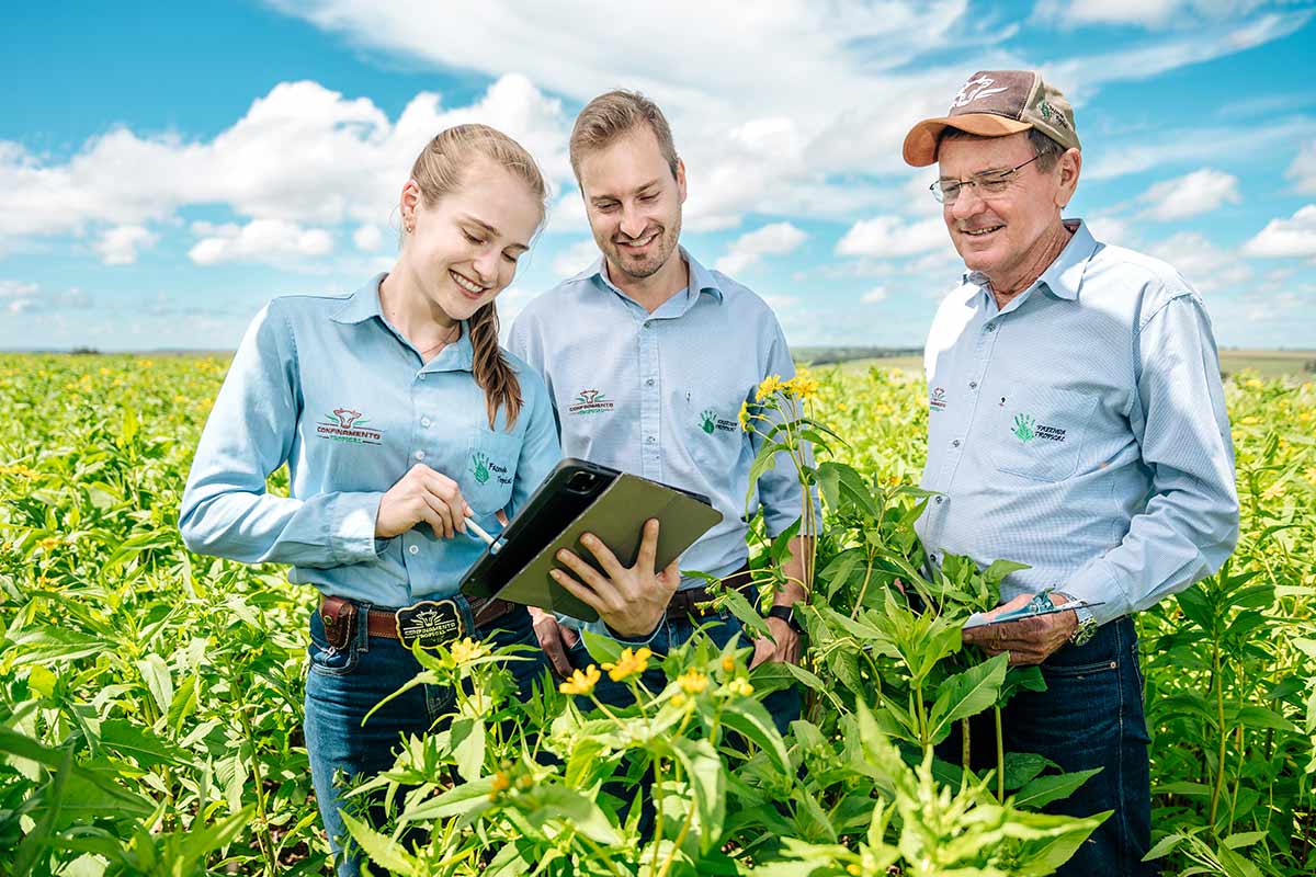 About Cargill V2 