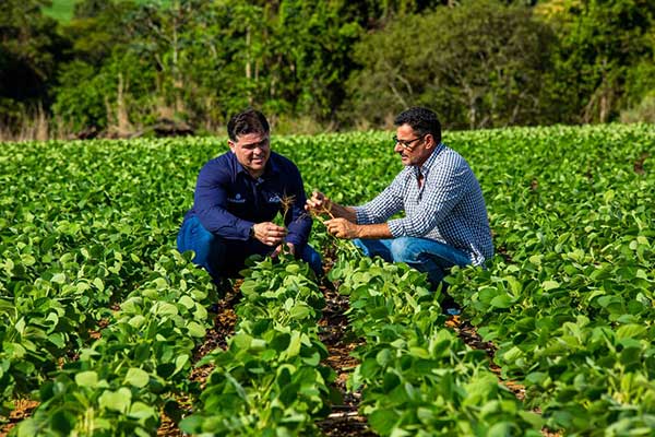 Cargill em Resumo